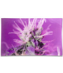 V Syndicate® - Pink Lemonade Glass Rollin' Tray - Shatter Resistant Glass