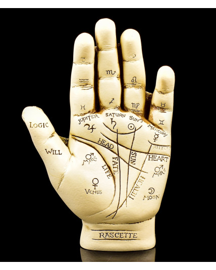 The Reader - Palmistry Hand