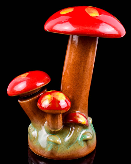 Enchanted Hideaway Mushroom Bong