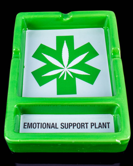 Emotional Support Stash Ashtray