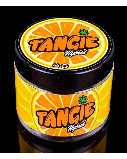 Tangie Hybrid Stash Storage Jar - Small