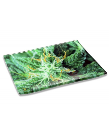 V Syndicate® - AK 47 Glass Rollin' Tray - Small