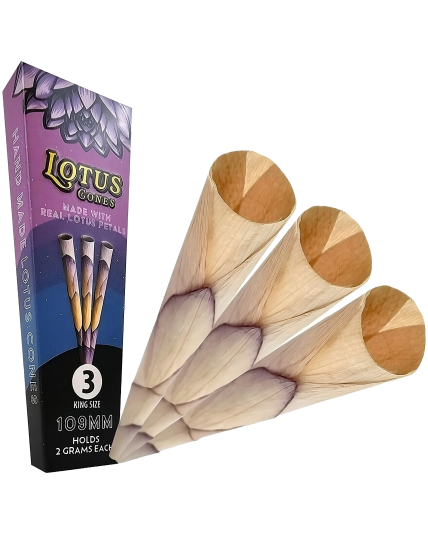 Rose Palms Lotus Cones - Real Lotus Petal Cones - 1 Pack
