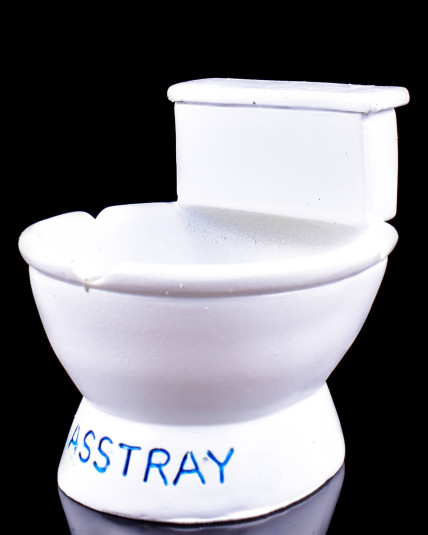 Toilet Bowl Ashtray
