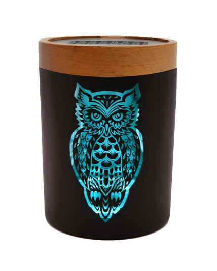 Owllusion Turquoise SoleStash - Small