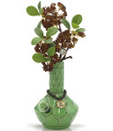 My Bud Vase - Turtle Vase Bong